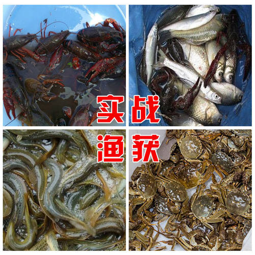 立新引鱼宝三分钟鱼饵香精一扫光饲料鱼食渔笼饵虾笼饵料黄鳝泥鳅 - 图0