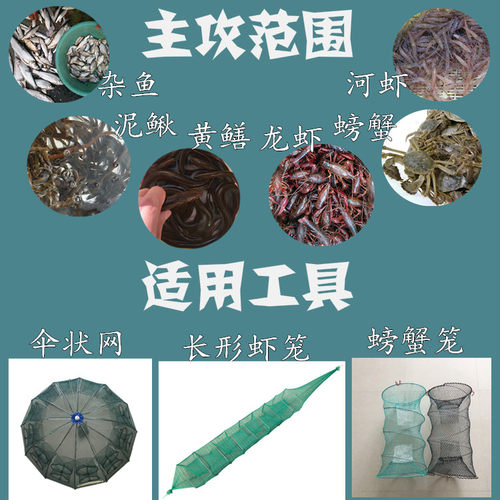 立新引鱼宝三分钟鱼饵香精一扫光饲料鱼食渔笼饵虾笼饵料黄鳝泥鳅 - 图3