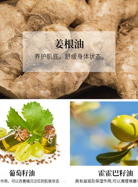 倩滋植物按摩精油全身刮痧美容院推拿按摩油身体玫瑰推拿精油全身