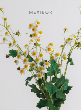 仿真小雏菊细枝可凹造型插花