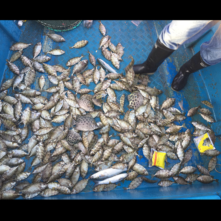 海钓客新版加量装PK面饵PK泥猛冻海钓面饵搓饵狂拉爆护饵开袋即用 - 图0