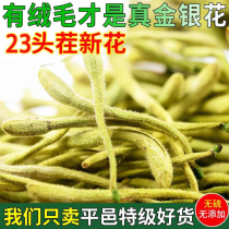 Sélection de Pingyi Chèvrefeuille Thé 250g Chèvrefeuille à chèvrefeuille en vrac Grille de chèvrefeuille et tisane à base de thé à lherbe médicinine chinoise