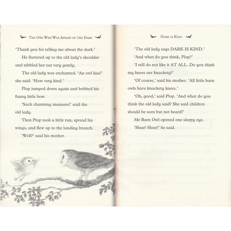 英文原版 Owl Who Was Afraid of the Dark 怕黑的猫头鹰 儿童英语阅读启蒙 睡前温馨亲子故事