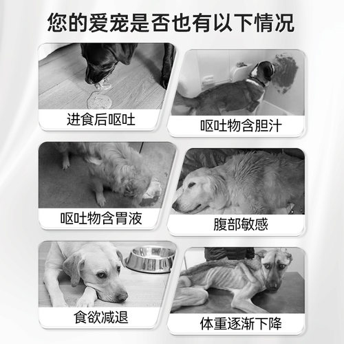 汉维宠仕西美丁宠物西咪替丁片猫咪狗狗呕吐狗狗止吐药肠胃炎症药 - 图0