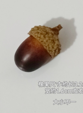仿真橡果儿童摄影道具装饰品教学