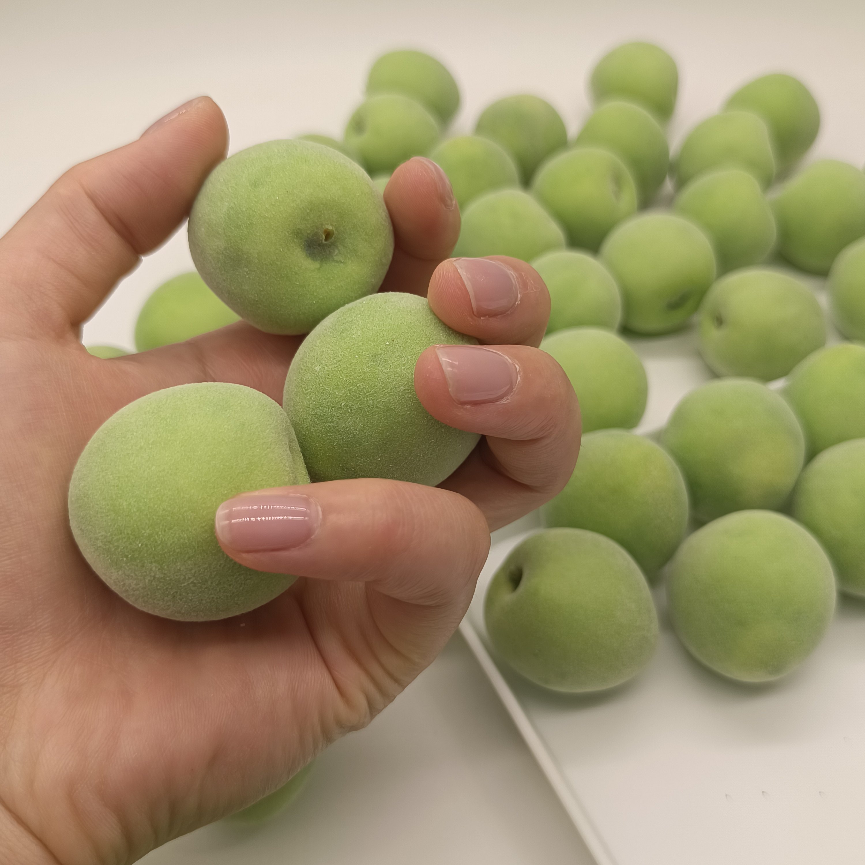 仿真青梅假水果盘模型假杏子厨房客厅装饰影视拍摄小道具摆台样品,淘宝优惠券,粉丝福利购,淘宝优惠卷