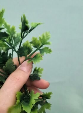 仿真香菜叶道具插花插花模型装饰