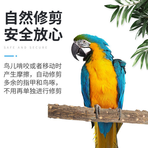 凯拉美花椒木站杆鹩八哥画眉虎皮鹦鹉磨爪棒站棍站杠栖杠鸟笼配件 - 图2