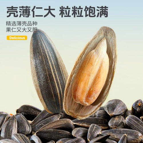 凯拉美油葵小瓜子零食黑珍珠瓜籽虎皮牡丹玄凤鹦鹉鸟粮鸟食非饲料 - 图0