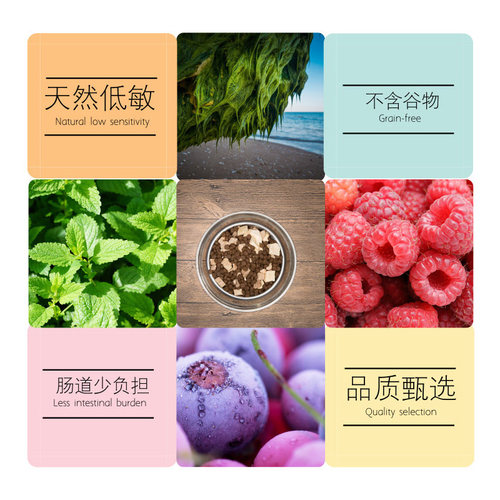 倍内菲benefits蓓内非猫粮无谷冻干鸡牛肉味加菲成猫幼猫全阶段期 - 图1