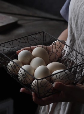 乡村铁艺花篮 野餐篮 面包筐美食拍摄道具复古怀旧杂货收纳小篮子