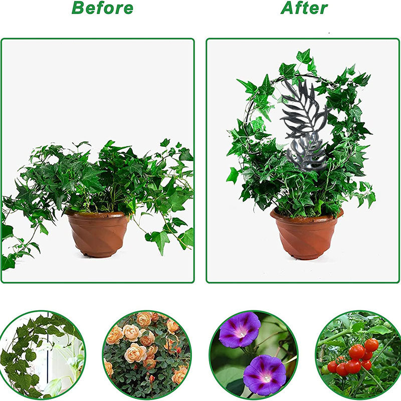 植物攀爬架 铁艺花盆支架 山乌龟铁线莲花架爬藤架蝴蝶兰固定杆,淘宝优惠券,粉丝福利购,淘宝优惠卷