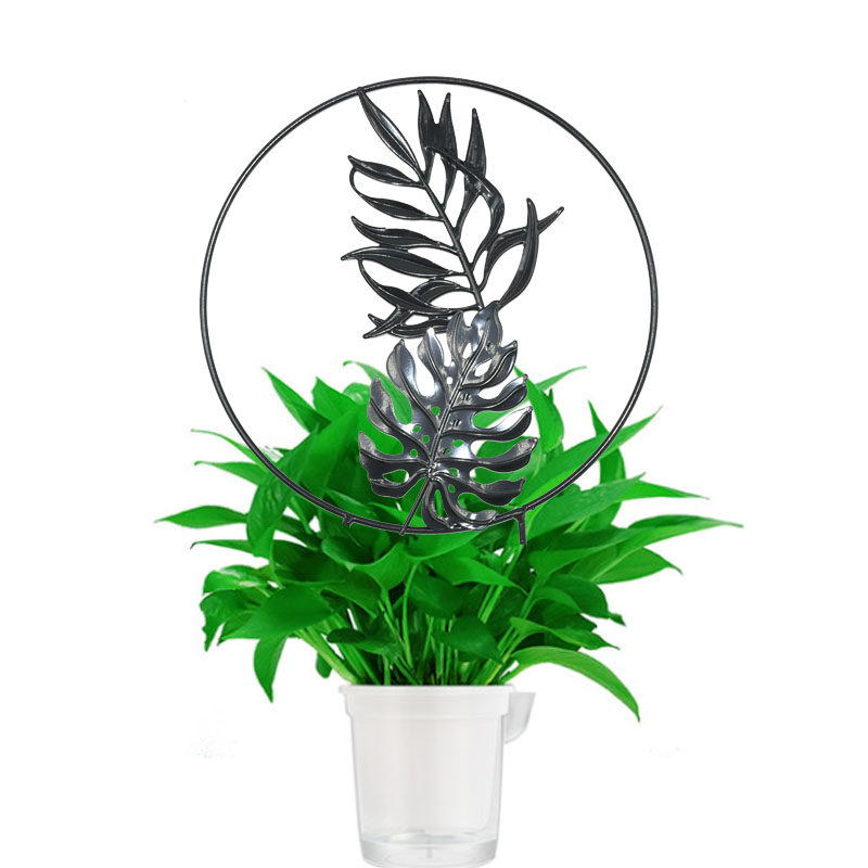 植物攀爬架 铁艺花盆支架 山乌龟铁线莲花架爬藤架蝴蝶兰固定杆,淘宝优惠券,粉丝福利购,淘宝优惠卷