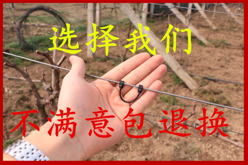 猕猴桃葡萄绑枝卡套袋绑枝机绑枝卡扣扎丝葡萄树苗绑枝卡子包邮,淘宝优惠券,粉丝福利购,淘宝优惠卷