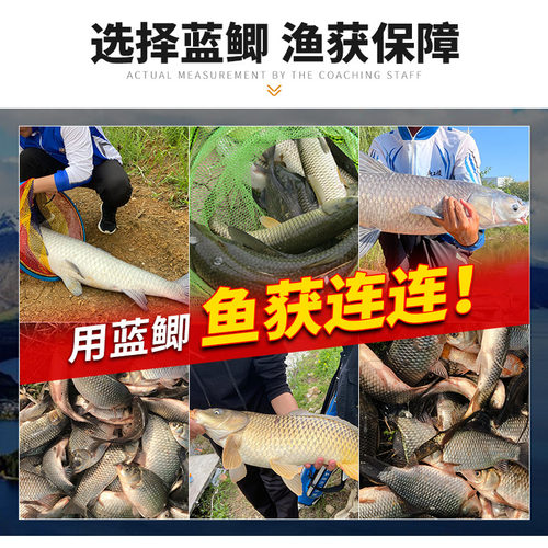 龙王恨鱼饵野战蓝鲫x5钓鲫鱼饵料野钓专用鲤鱼草鱼饵青春版打窝料-图1