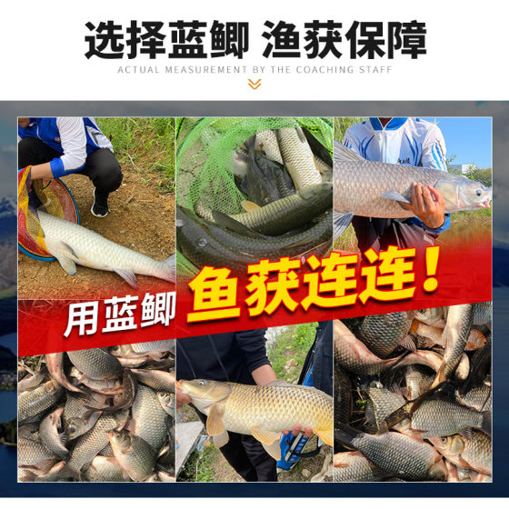 Dragon King Hates Fishing Bait Blue Crucian Carp X5 Crucian Carp Bait