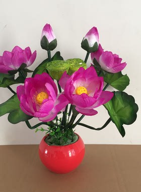 仿真荷花娟花套装多色睡莲鱼缸