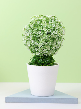 仿真植物盆栽发财树草球盆景家居装饰花摆件创意迷你小圆球樱雪球