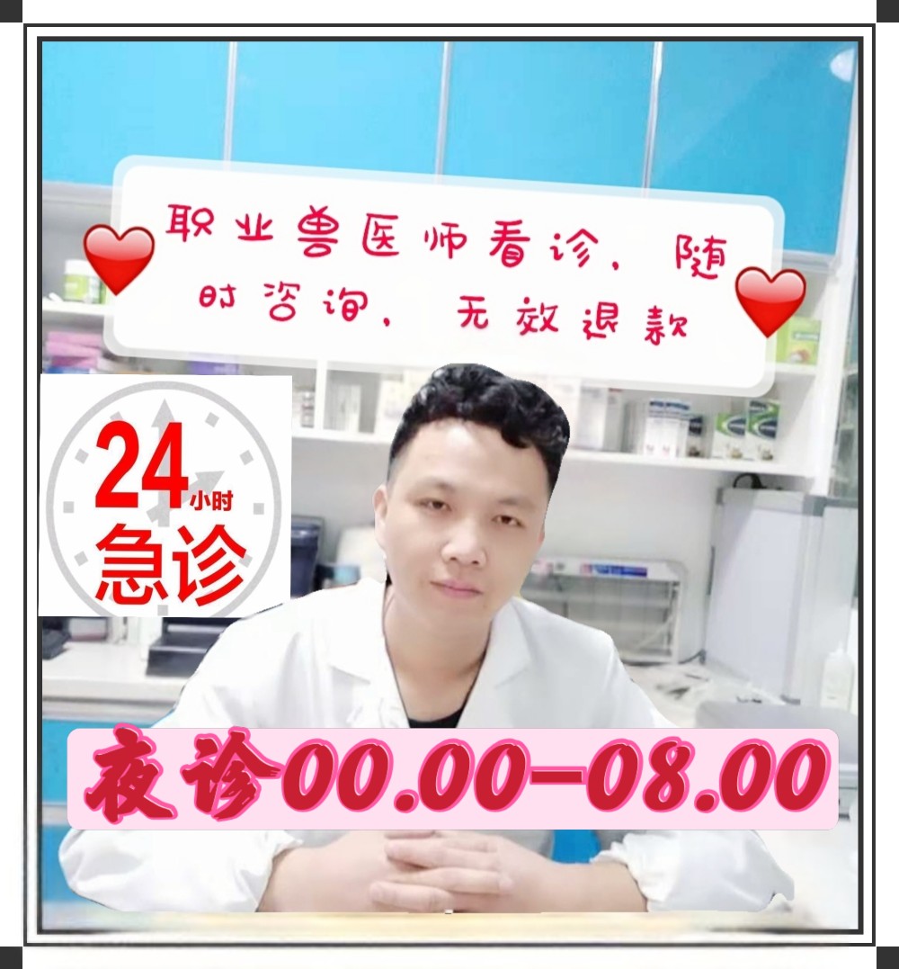 夜诊宠物医生在线24小时咨询中农动医猫咪狗狗问诊咨询兽医传染病 - 图0