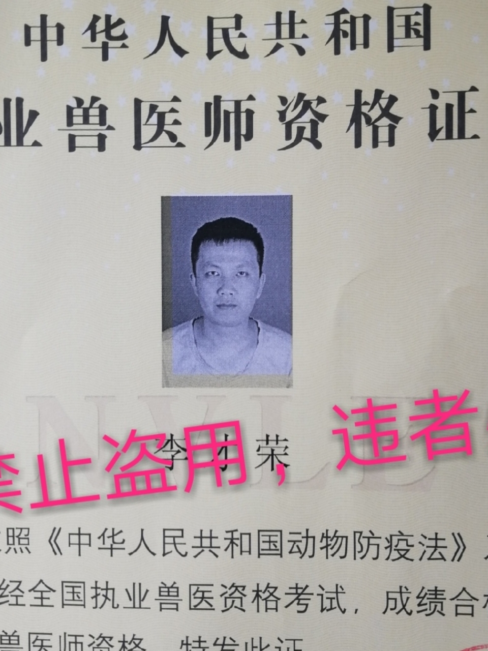 夜诊宠物医生在线24小时咨询中农动医猫咪狗狗问诊咨询兽医传染病 - 图1