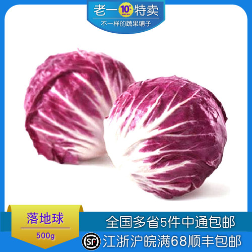 老一特卖 新鲜红菊苣落地球生菜红球红叶包菜 沙拉蔬菜 500g - 图0