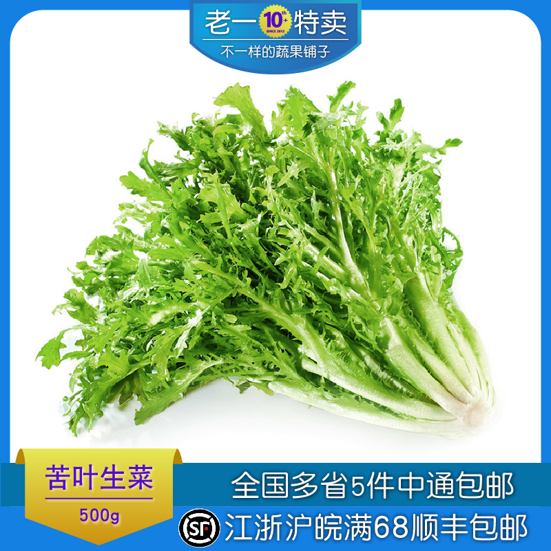 老一特卖 新鲜 沙拉菜 苦菊 苦叶 苦苣 苦菜生菜 500克 - 图1