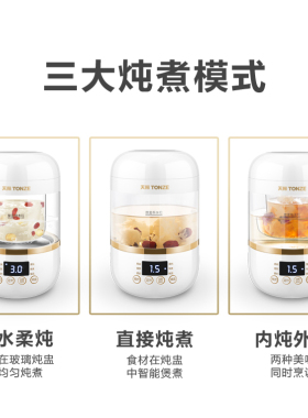 玻璃壶燕窝天际养生煲