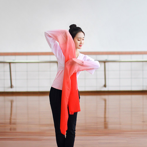 成人惊鸿舞戏曲水袖上衣女藏族舞蹈服装儿童古典练功服甩袖演出服 - 图1