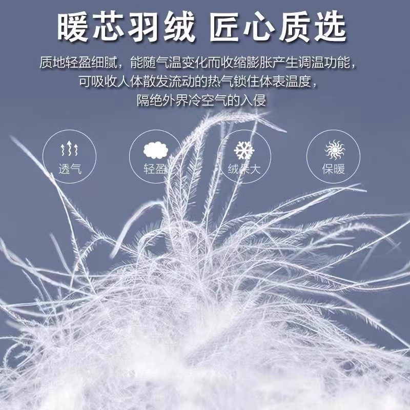 耐克顿羽绒服男士时尚简约连帽冬季保暖轻薄舒适白鸭绒休闲外套,淘宝优惠券,粉丝福利购,淘宝优惠卷