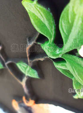 活性炭雕工艺品鸟语花香家居酒柜装饰品摆设乔迁新居摆件花鸟盘子