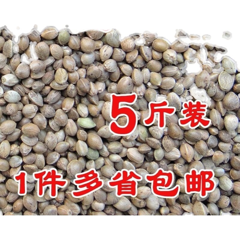 中颗粒火麻子/麻籽/火麻仁鹦鹉鸟粮饲料/仓鼠松鼠粮鸽粮饲料5斤装_虎窝淘