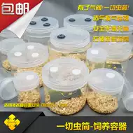 甲虫用品 新人首单立减十元 21年8月 淘宝海外