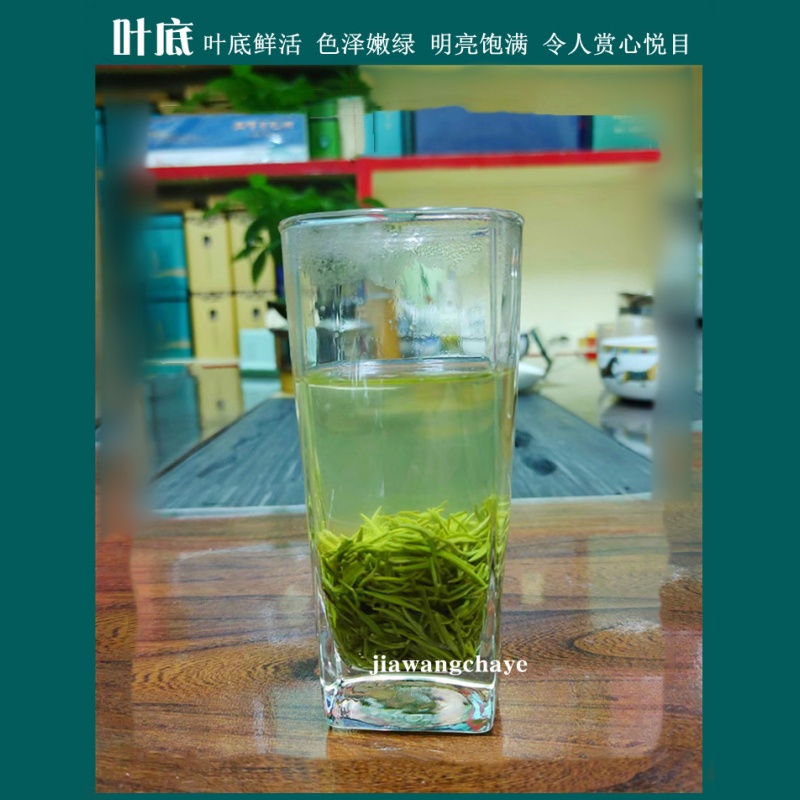 2024新茶五峰毛尖绿茶湖北茶叶宜昌高山云雾炒青散装茶栗香茶250g - 图2