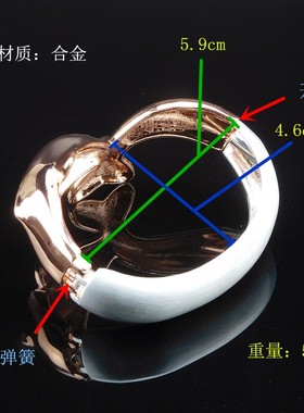 金色镜面海豚拉丝闪耀欧美风手镯