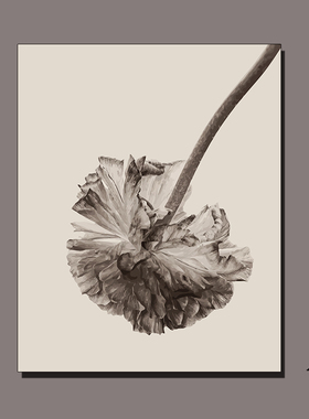 黑白花卉素雅风植物卡纸画
