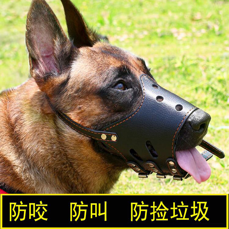 狗狗嘴套防咬防叫狗口罩中大型犬金毛萨摩耶马犬止吠器防乱吃狗套 - 图0