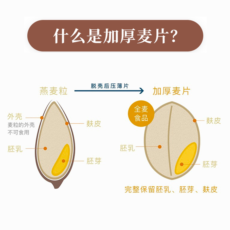 美国鲍勃红磨坊全谷物特厚滚压燕麦片ROLLED 无添加蔗糖快煮454g - 图2