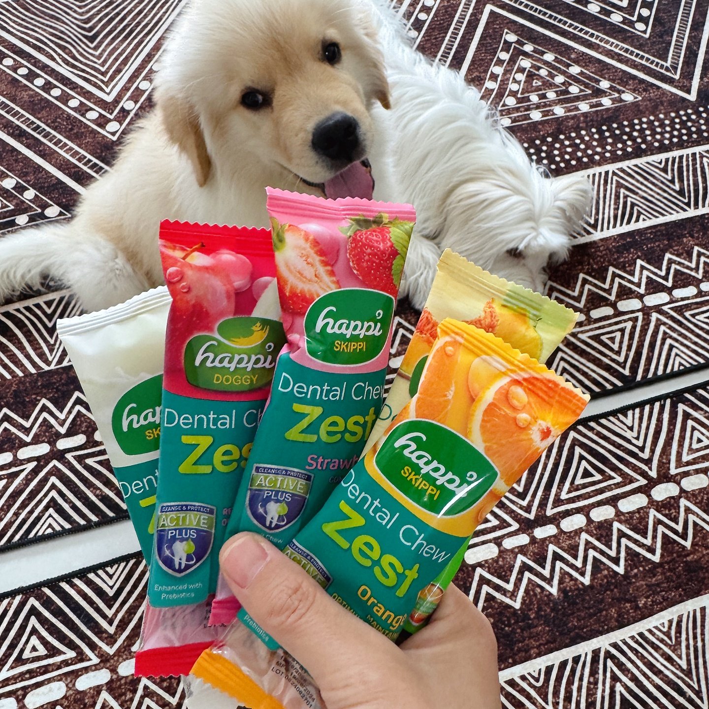 新加坡HappiSkippi宠物狗狗洁齿骨磨牙棒大中小型犬混合通用零食,淘宝优惠券,粉丝福利购,淘宝优惠卷