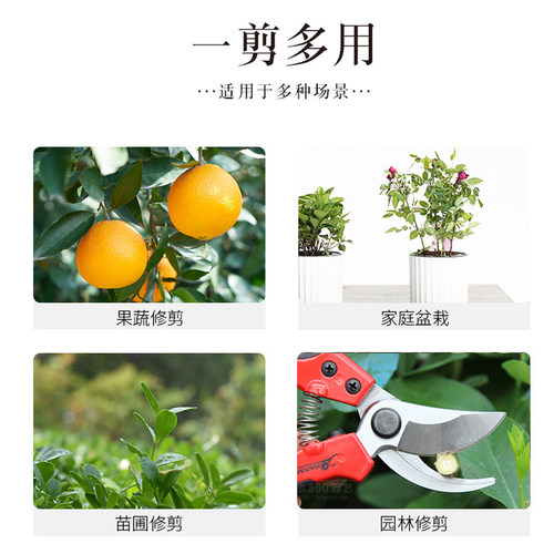 日本进口花心兰修枝剪树枝剪刀剪枝果木剪刀园艺修枝花艺修花修树 - 图2