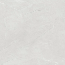 Dongpeng Tile Glacier Grey JFG802564 (This price is for the deposit details to the shop consultation)