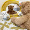 Japan original single child safety seat viewing mirror