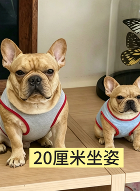御姐羊毛毡手工定制仿真宠物摆件
