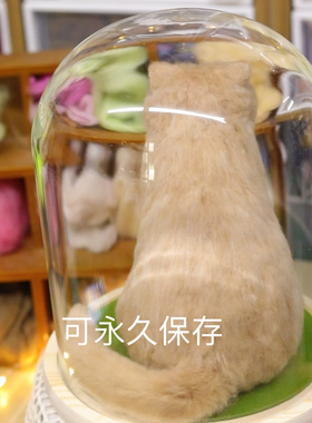 20厘米｜仿真宠物猫咪宠物摆件橘猫花色定制宠物离世纪念品纯手工