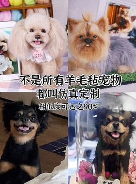 【来图定制】宠物生日礼物模型