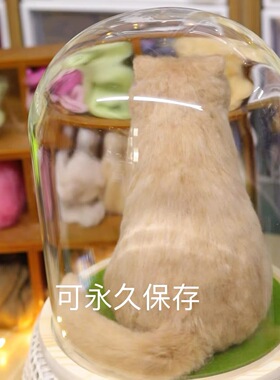 20厘米仿真橘猫摆件定制