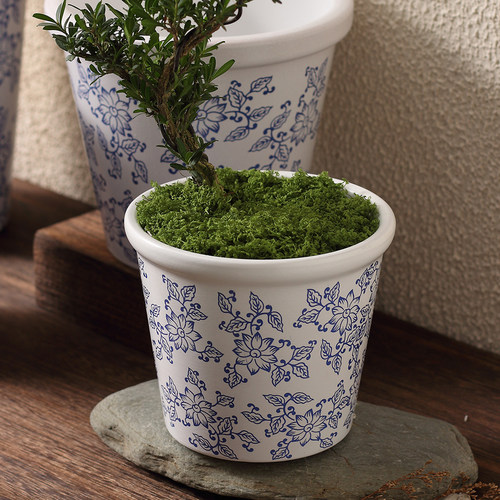 新中式仿古青花陶土花盆室内大口径兰花盆家居厚边瘦高盆花卉绿植 - 图2