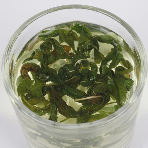 罗布麻茶新疆正品特级散装500克野生头茬罗布麻嫩叶茶 - 图0