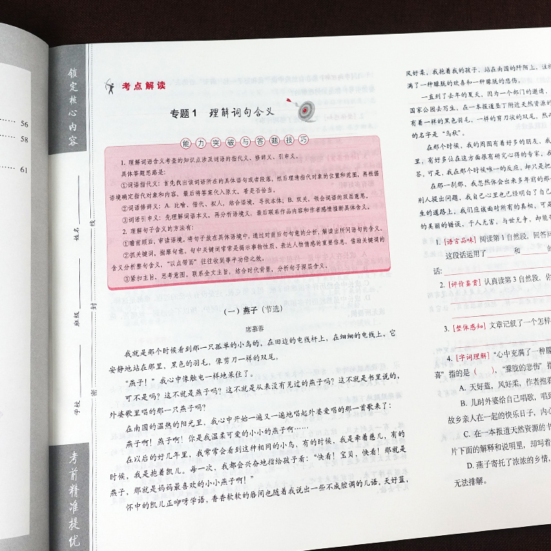 新版小升初语文阅读核心能力100练 小学毕业升学冲刺练习卷68所名校直通车阅读理解专项训练书小考必刷题六年级下册总复习试卷 - 图1