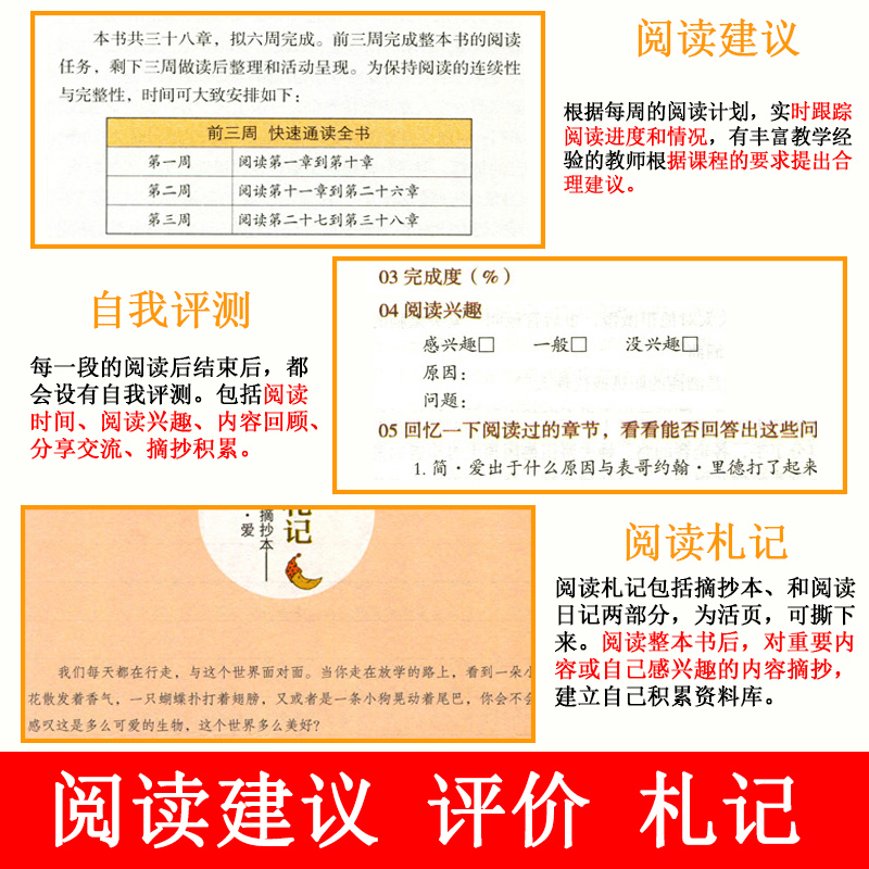 简爱和儒林外史原著正版书九年级必读下册读本人民教育出版社初三中考生同步初中课外阅读书籍无删减完整版经典名著导读文学人教版 - 图2