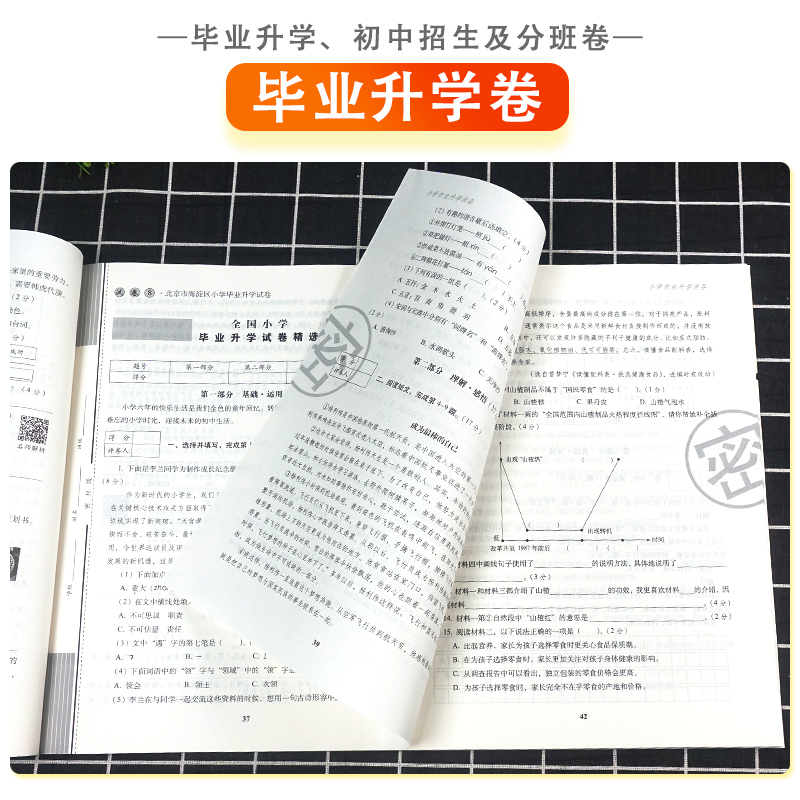 冲刺2024小考试卷小学毕业升学准备 语文 小升初试卷68所名校推荐小学六年级语文总复习小升初模拟测试卷子练习册初中招生分班试卷